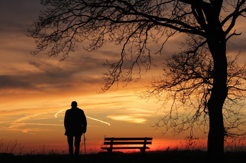 sunset, tree, silhouette, dusk, lonely, evening atmosphere, mood, the atmosphere, peaceful, alone, sad, quiet, eve, silence, nature, peaceful mood, man, old man, bank, races, rest